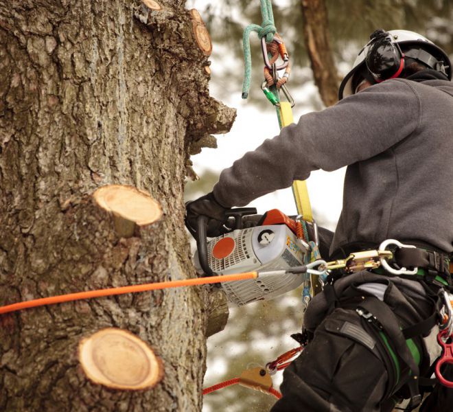 chainsaw-work-at-height-ropes-safety-measures-worker